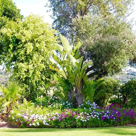 펜션 Casa Da Avo *